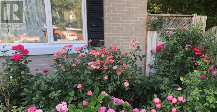26 Morpeth Road, Brampton, ON, L6W 2Z2 - 30