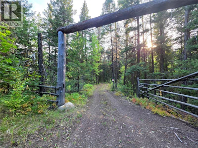 6453 Pinaus Lake Road - 3