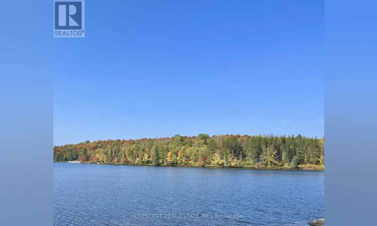 3B-JACK'S Lake Road