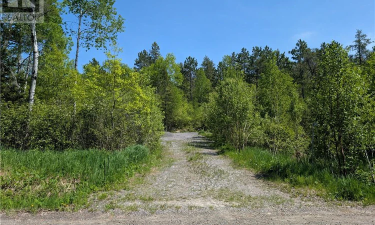245 Birch Drive