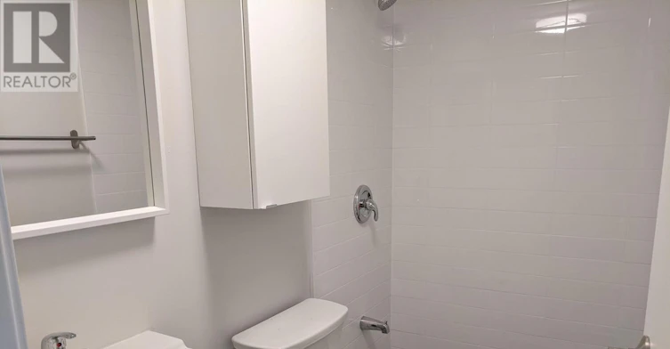 LOWER-119 Coxwell Avenue, Toronto, ON, M4L 3B3 - 6