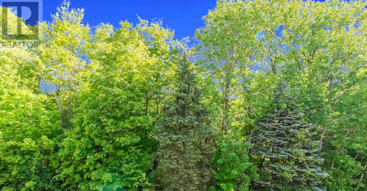45 Folcroft Street, Brampton, ON, L6Y 6L3 - 21