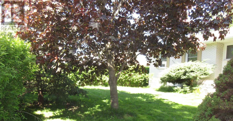 MAIN FLOOR-104 Boyne Crescent, New Tecumseth, ON, L9R 1K3 - 2