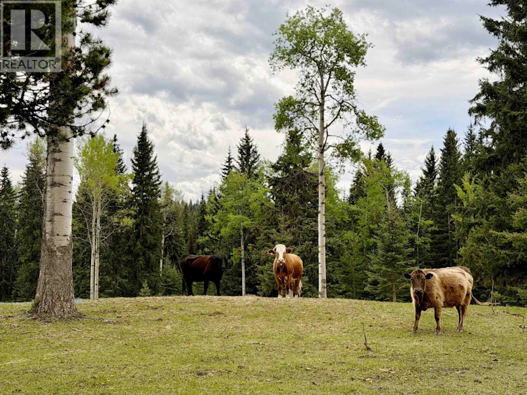 6300-6310 N Horse Lake Road, 100 Mile House, BC, V0K 2E3 - 32