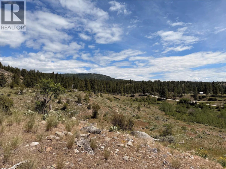 389 Chapman Road, Osoyoos, BC, V0H 1V6 - 7