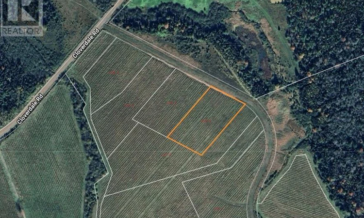 Lot-4 Honey Berry Lane