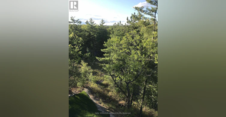 517-100 Carrick Trail, Gravenhurst, ON, P1P 0A6 - 2