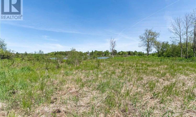Lot-0 De L'etang