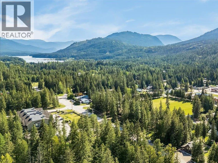 809 Slocan Street, Slocan, BC, V0G 2C0 - 12