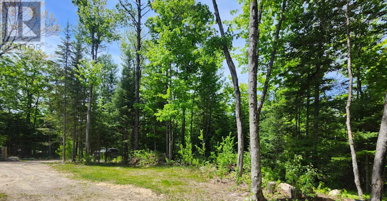 3997 Chetwynd Road, Kearney, ON, P0A 1M0 - 12