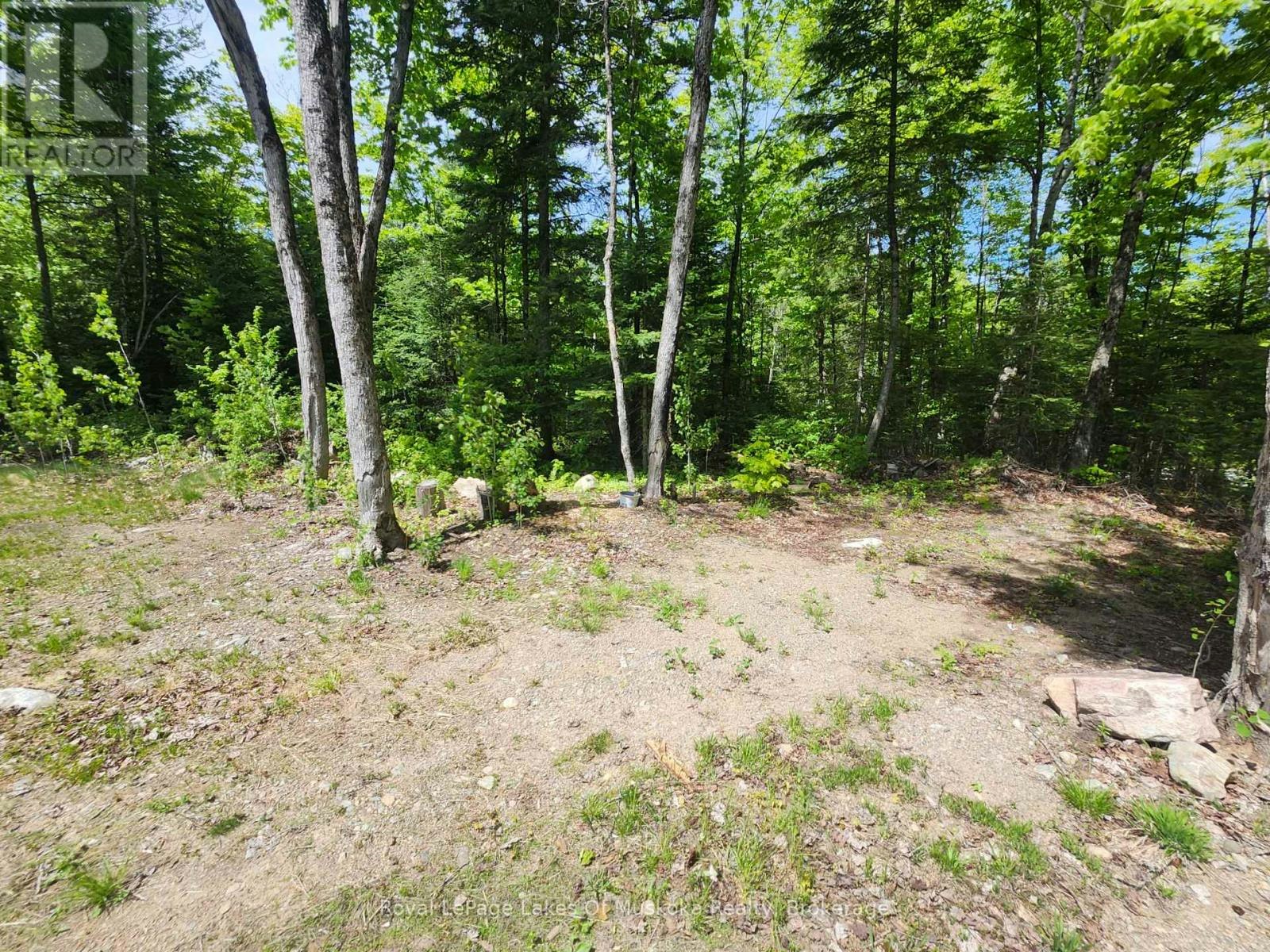 3997 Chetwynd Road, Kearney, ON, P0A 1M0 - 18