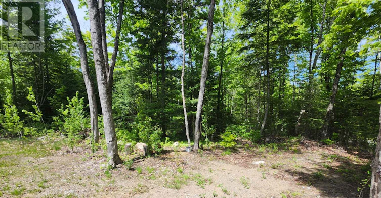 3997 Chetwynd Road, Kearney, ON, P0A 1M0 - 18