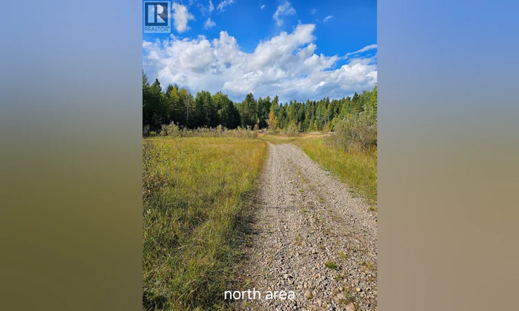 Pine Ridge Drive