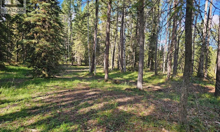 Pine Ridge Alley