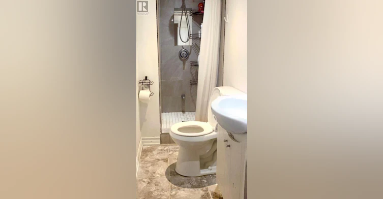 BASEMENT-97 Long Point Drive, Richmond Hill, ON, L4E 3Z7 - 14