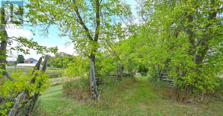 995305 Mono Adjala Townline, Mono, ON, L9R 1V1 - 40