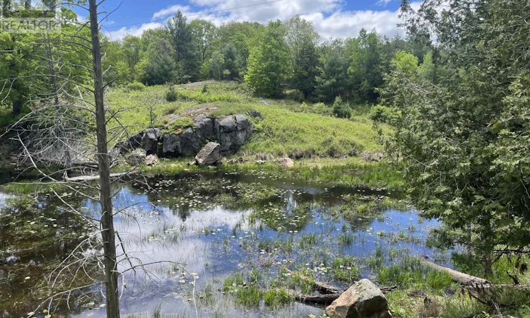 2970 Mountain Road