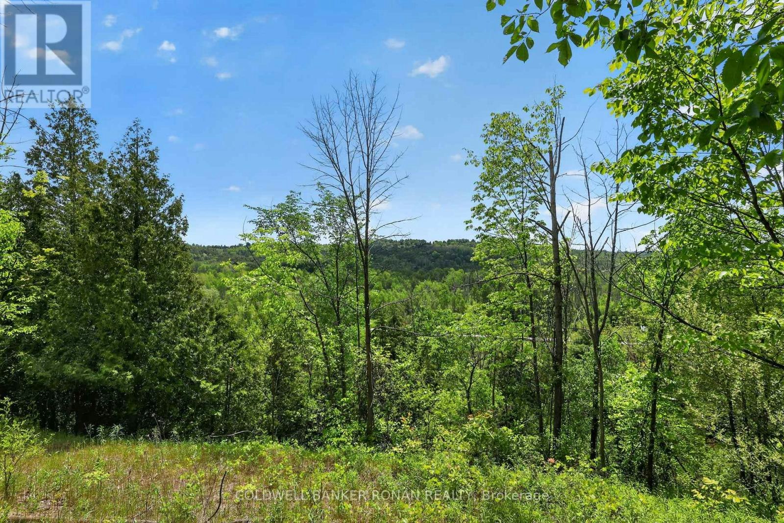 2946 Concession 3 Road, Adjala-Tosorontio, ON, L0G 1L0