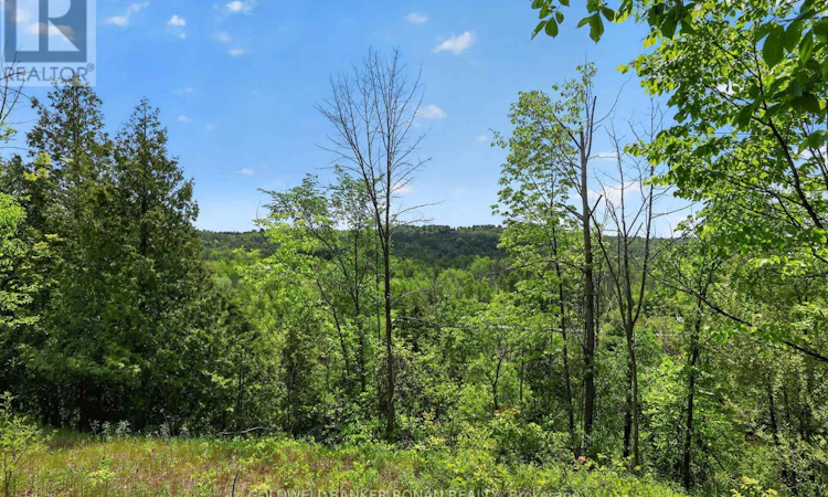 2946 Concession 3 Road