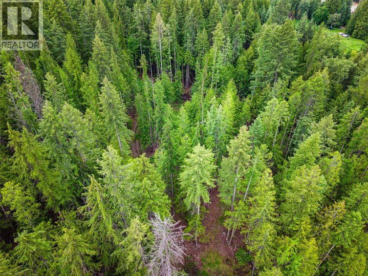 7346 Harrop Procter Road, Procter, BC, V1L 6R4 - 62