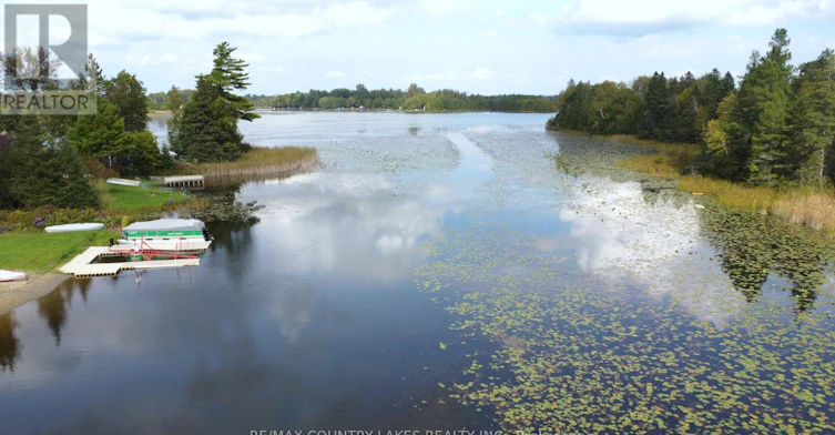 53 Cedar Bay Road, Kawartha Lakes, ON, K0M 2B0 - 36