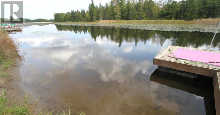 53 Cedar Bay Road, Kawartha Lakes, ON, K0M 2B0 - 42