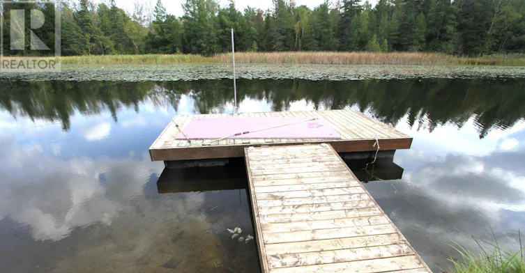 53 Cedar Bay Road, Kawartha Lakes, ON, K0M 2B0 - 41