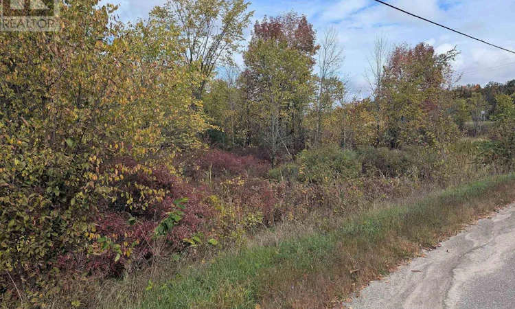 LOT-34 Leo Lake Road