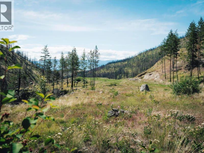 495 Bear Creek Road - 5