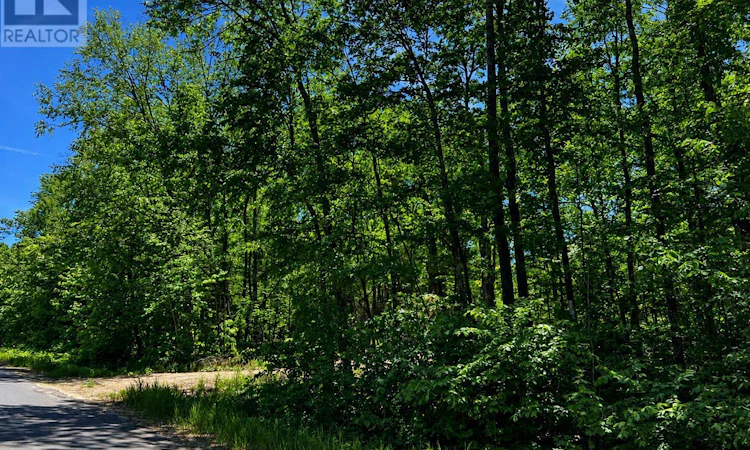 0 Buckshot Lake Road