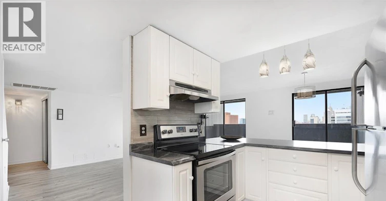 1608-380 Pelissier, Windsor, ON, N9A 6V7 - 19