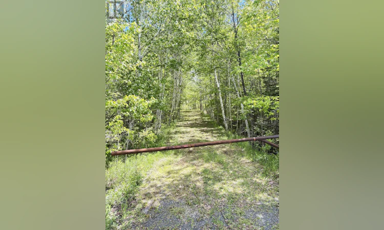 2334 14 Windsor Highway Road