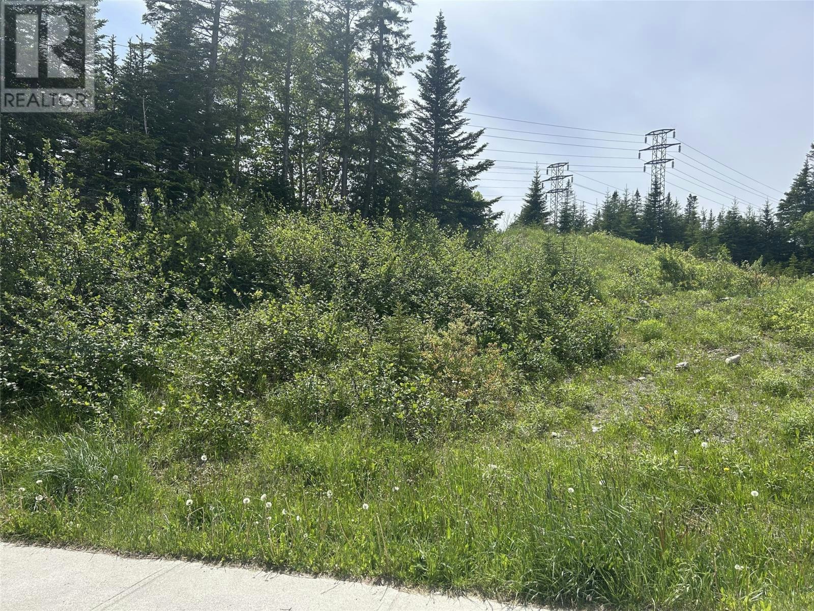 196 Massey Drive, Massey Drive, NL, A2H 7A2