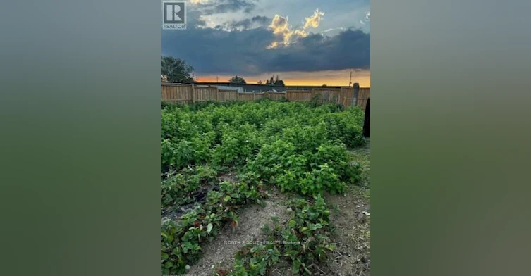 LOT C-1030 Colborne Street W, Brant, ON, N3T 5L7 - 9