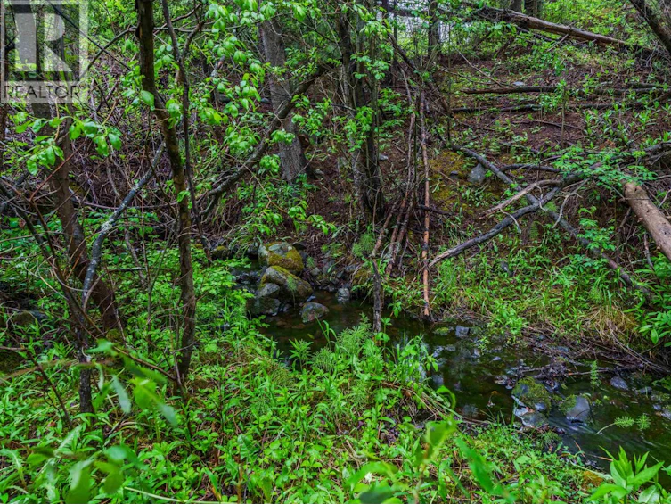 7587 Womack Road, Deka Lake, BC, V0K 1X3 - 3