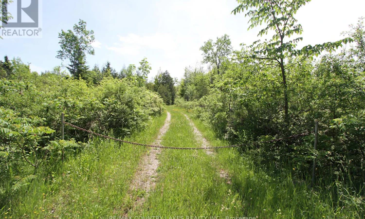 LT27 Ramblewood Trail