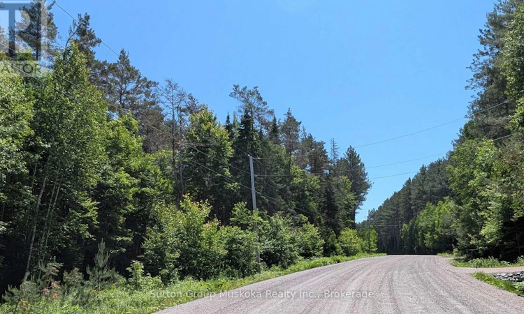 LOT-1 Red Pine Trail