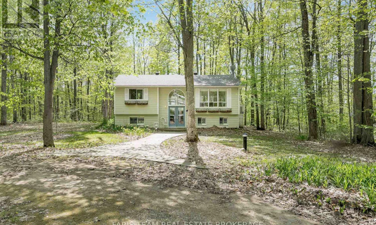 104 Silver Birch Drive