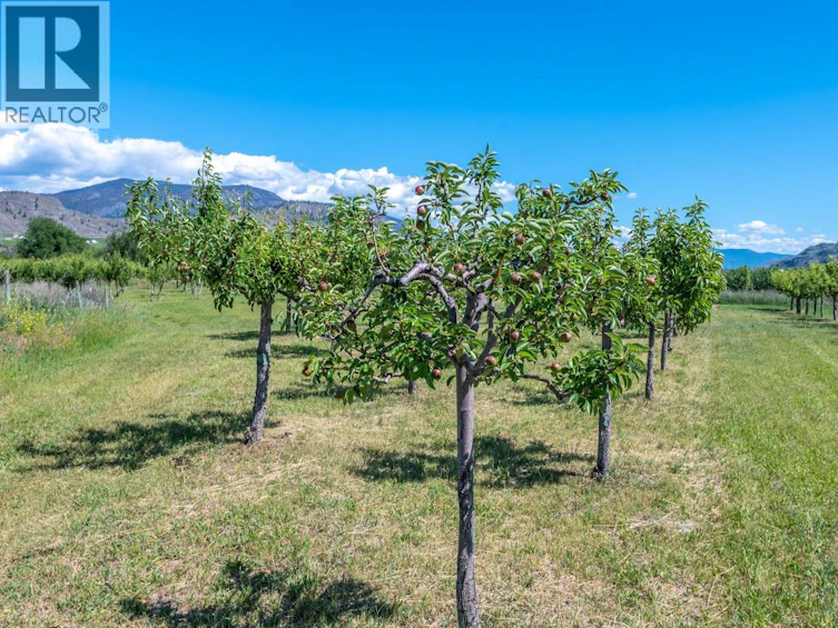 294 18 Road Road, Oliver, BC, V0H 1T1 - 37
