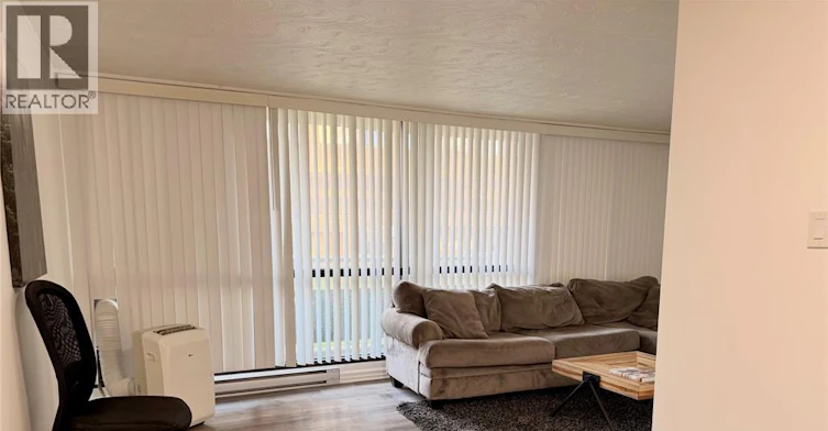 107-111 Riverside Drive East, Windsor, ON, N9A 2S6 - 9