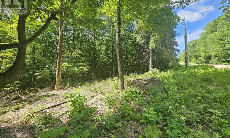 PT LT-22 O'grady Settlement Road
