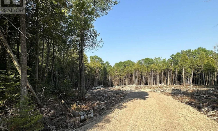 42 Trillium Crossing