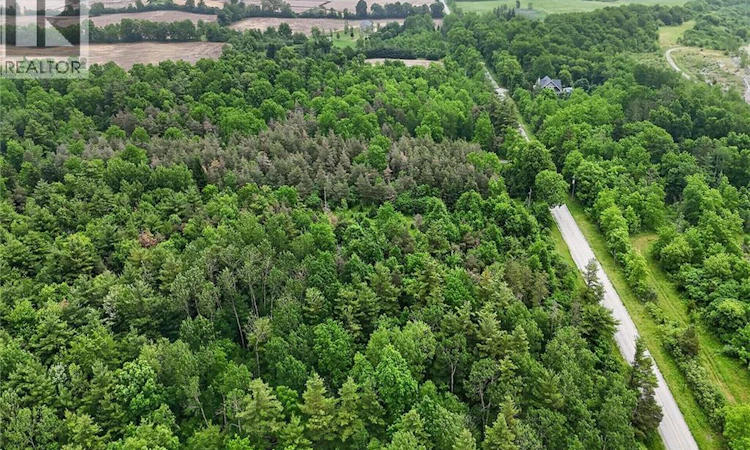 581 Townline Road W