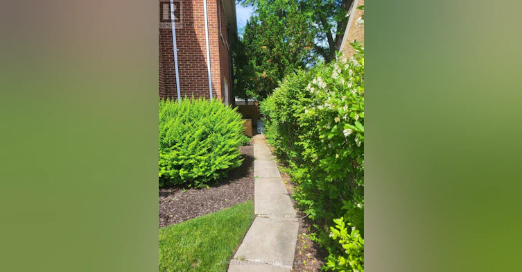 BASEMENT-1 Wychwood Road, St. Catharines, ON, L2R 3R8