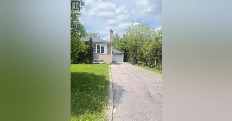 MAIN-256 Patricia Avenue, Toronto, ON, M2M 1J8 - 19