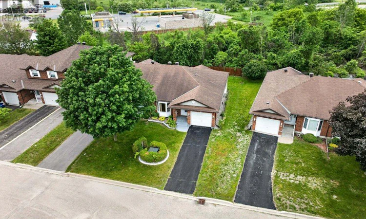 36 Wilmot Young Place