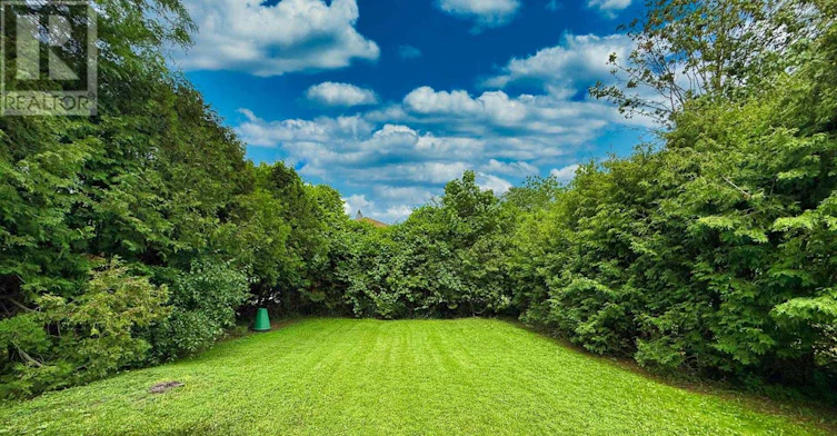 77 Talbot Road, Toronto, ON, M2M 1S1 - 31
