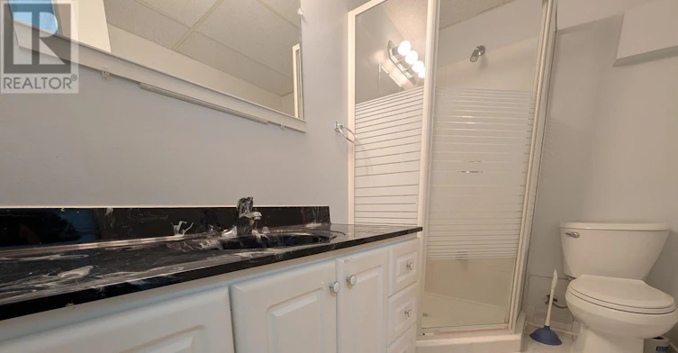 LOWER-31 Buchanan Street, Barrie, ON, L4M 6B5 - 11