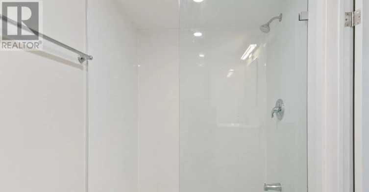 LOWER-486 Delaware Avenue, Toronto, ON, M6H 2T9 - 8