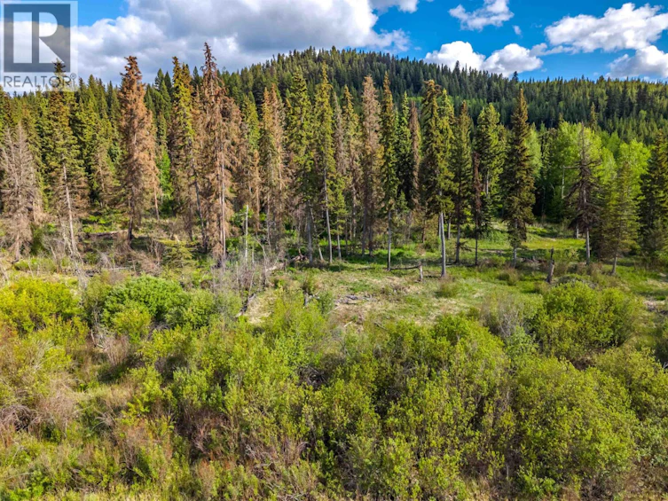 Lot-8 Horse Lake Road, Horse Lake, BC, V0K 1X3 - 17